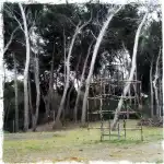 Residència Can Picafort - Bild 9