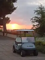 Golf Son Muntaner - Bild 10