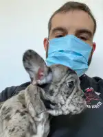 Centre Veterinari Part Forana - Bild 7