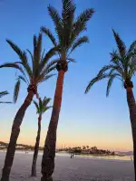 Platja d'Alcúdia - Bild 3