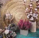 Floristeria Lita - Bild 3