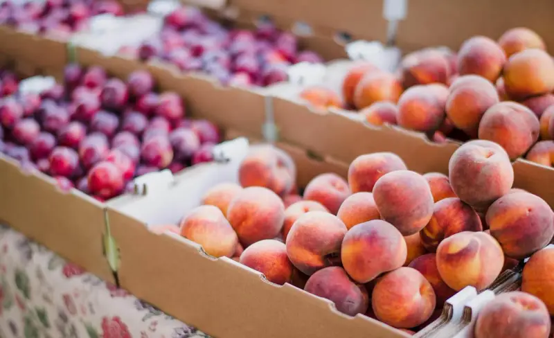 EAT WITH PAOLO - Bild 1