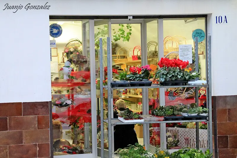 Floristeria Arenal - Bild 1