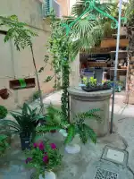 Floristeria Arenal - Bild 8