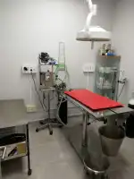 Mallorca Veterinaris - Clínica Veterinària Montuïri - Bild 10