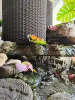 Bai Pho Thai Massage - Bild 10