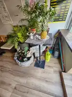 Bai Pho Thai Massage - Bild 3