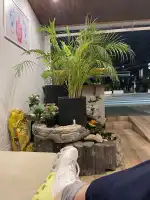 Bai Pho Thai Massage - Bild 9