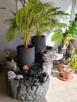 Bai Pho Thai Massage - Bild 7