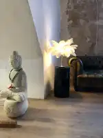 ESTEFAN PELUQUERIA - Bild 6