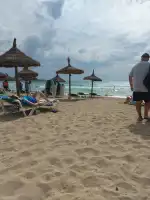 Bosque de la Playa de Palma - Imagen 4