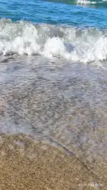 Bosque de la Playa de Palma - Imagen 5