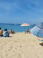 Bosque de la Playa de Palma - Imagen 6