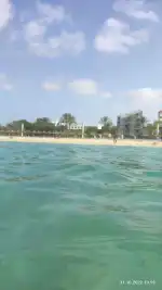 Bosque de la Playa de Palma - Imagen 8