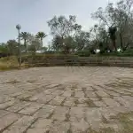 Bosque de la Playa de Palma - Imagen 3