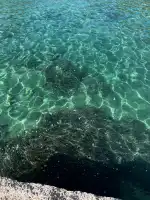 Platja de Formentor - Bild 9