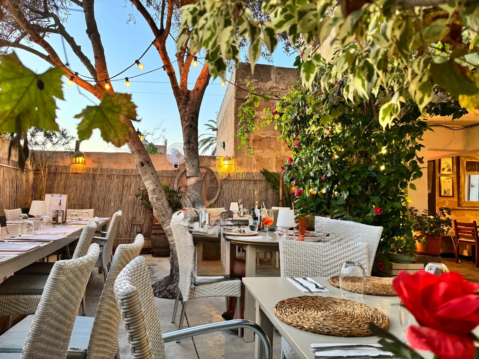 Pizzeria Nou - Image 1