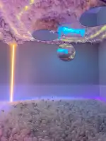 Fantasy Museum - Image 2