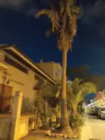 Parroquia de Nuestra Señora de Montserrat - Bild 8