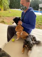 PALMA VET Servicios Veterinarios A Domicilio - Bild 9