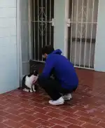 PALMA VET Servicios Veterinarios A Domicilio - Bild 5