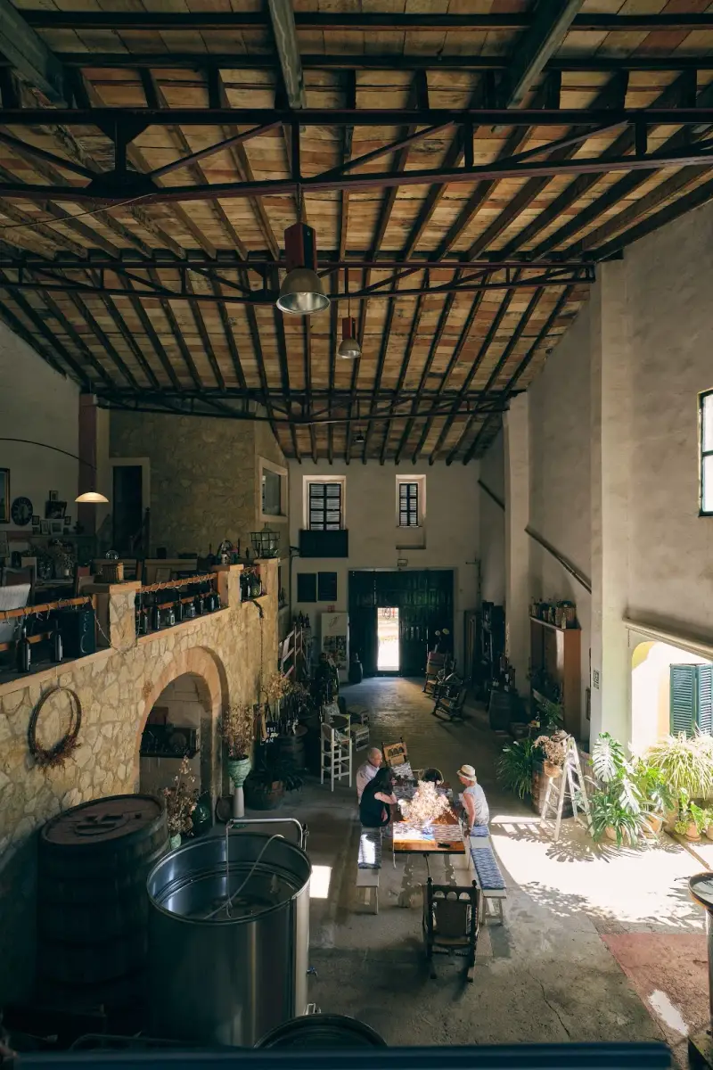 Vins Nadal - Image 1