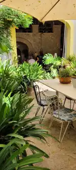 Vins Nadal - Image 10