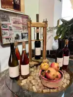 Vins Nadal - Image 2