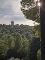 Instituto Dr. Scheib - Bild 6