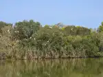 Parc Natural de s'Albufera - Image 7