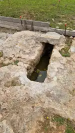 Basílica de Son Peretó - Image 8