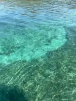 Mallorca Boat Ride - Bild 10