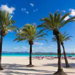 Alcudia beach - Bild 2