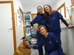 Clínica Veterinaria Es Pla