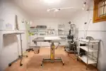 Clínica Veterinaria Es Pla - Bild 2