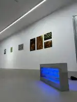 Tube Gallery - Bild 2