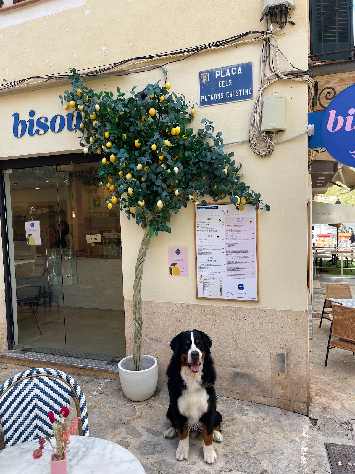 Bisou - Imagen 1