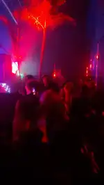 Selva Club - Image 9