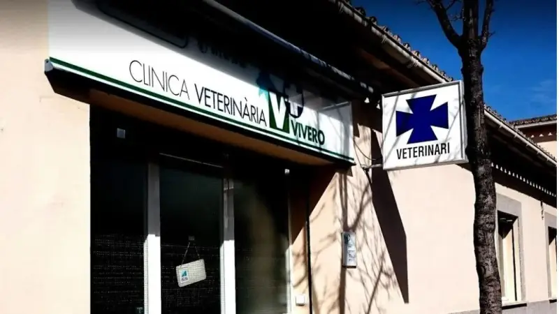 Clínica Veterinària Vivero - Bild 1