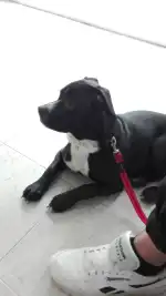 Clínica Veterinària Vivero - Bild 10