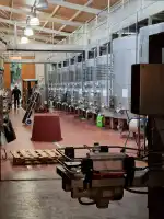 Vinyes Mortitx - Imagen 4