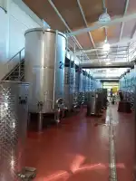 Vinyes Mortitx - Imagen 7