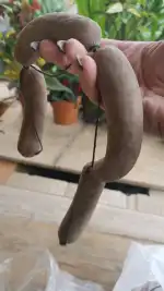 Ca'n Pere des Carreró - Bild 6