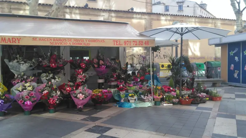 Flores Sara - Bild 1