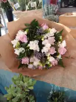 Flores Sara - Bild 6