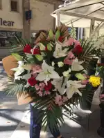 Flores Sara - Bild 7