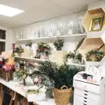 Exquisitae - Bild 10