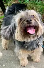 Clínica Veterinaria Moixica | MiVet - Bild 10