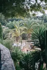 Ibiza & Mallorca Hochzeitsplanner - Bild 4