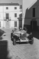 Diomedea Group - Bild 10